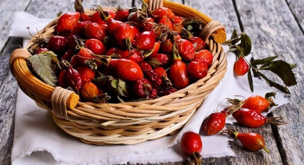 Šipurak će pomoći kod umora